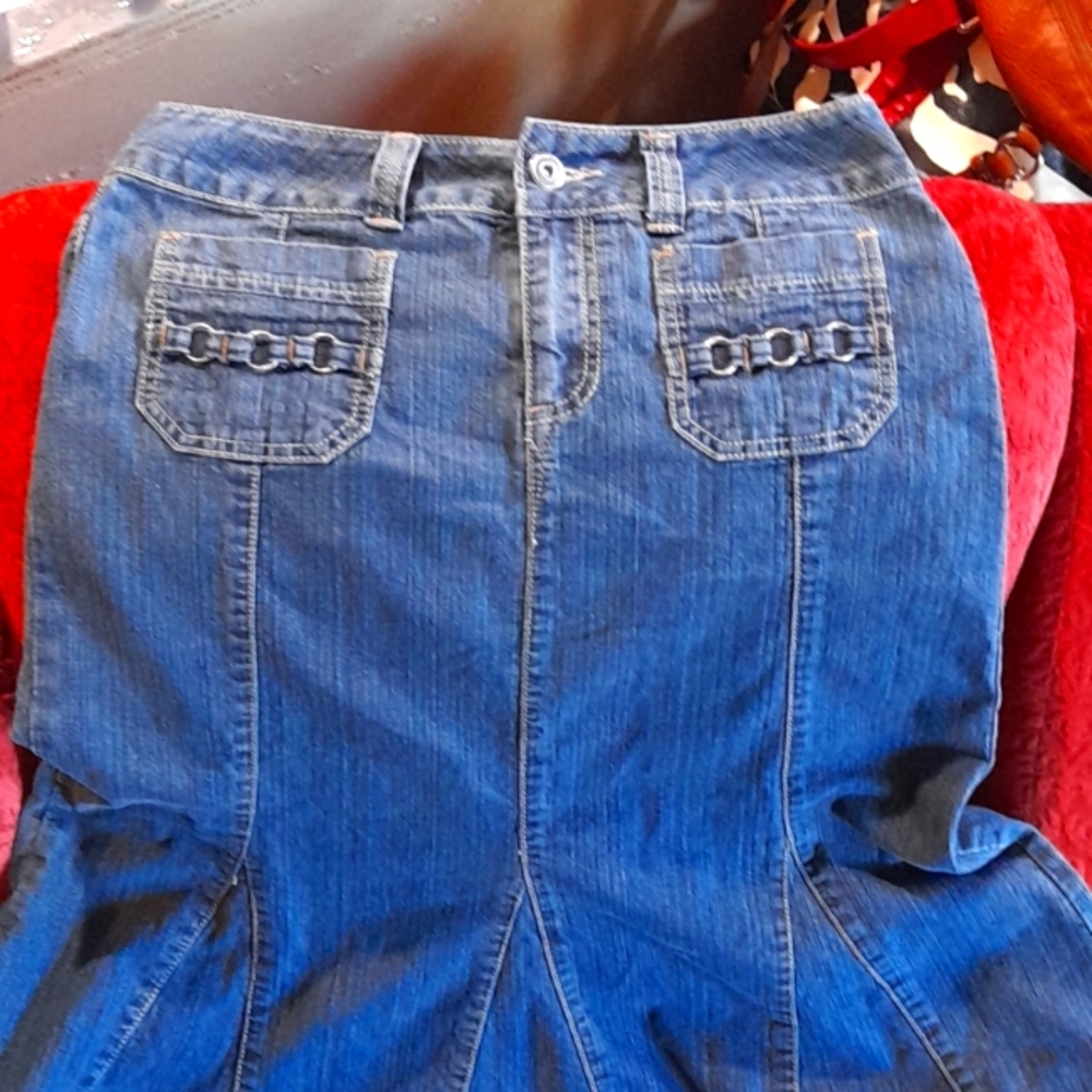 Denim maxi long pieced flared mermaid skirt Baccini size 6